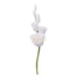 Rose Filler Spray Pink #75 or White #76