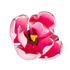 209PK- Tulipán francés de 3' - Rosa
