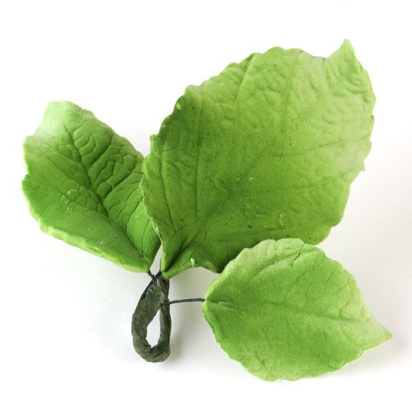 102- Hojas de hortensia - Verdes