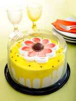 8" Cake Dome 9"x5" - Bake Supply Plus