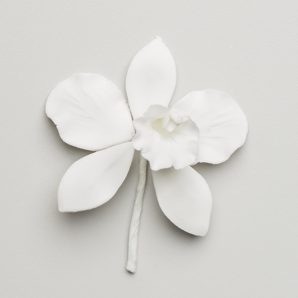Flores de Gumpaste Orquídea Cattleya Blanca #111, #47, #169