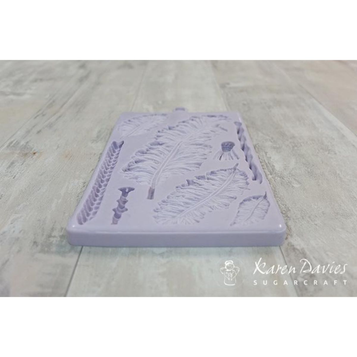 Karen Davies Native Feathers Mold