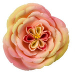 Apricot Nectar Rose Flower Large #52LG or Small #52MD