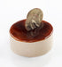 Ganache Blanca Norte Eurocao