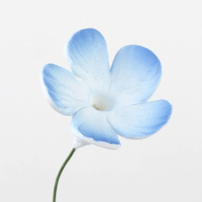 Periwinkle Flowers #74