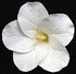 Flores de Hibisco de Pasta de Goma #16, #21, #31, #86