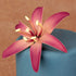 Lirio Silvestre Malva Medio #57