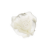 176 WH - Tulipán de 1' - Blanco