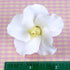 Flor de hibisco de pasta de goma rosa n.º 84 o blanca n.º 85