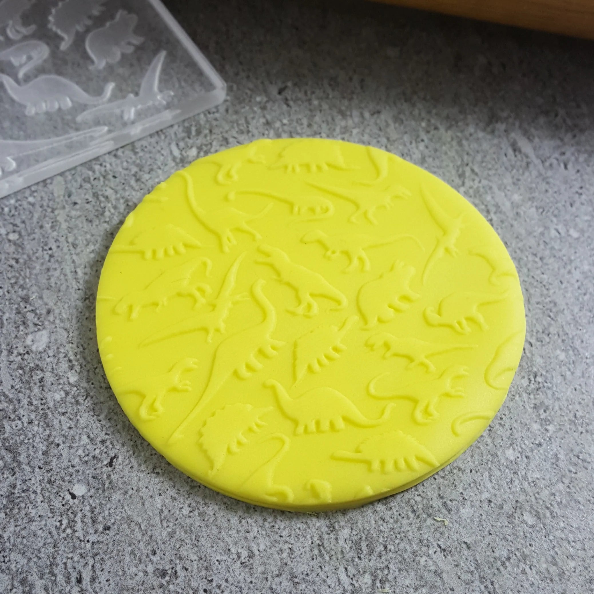 Platos de dinosaurios estampados CC