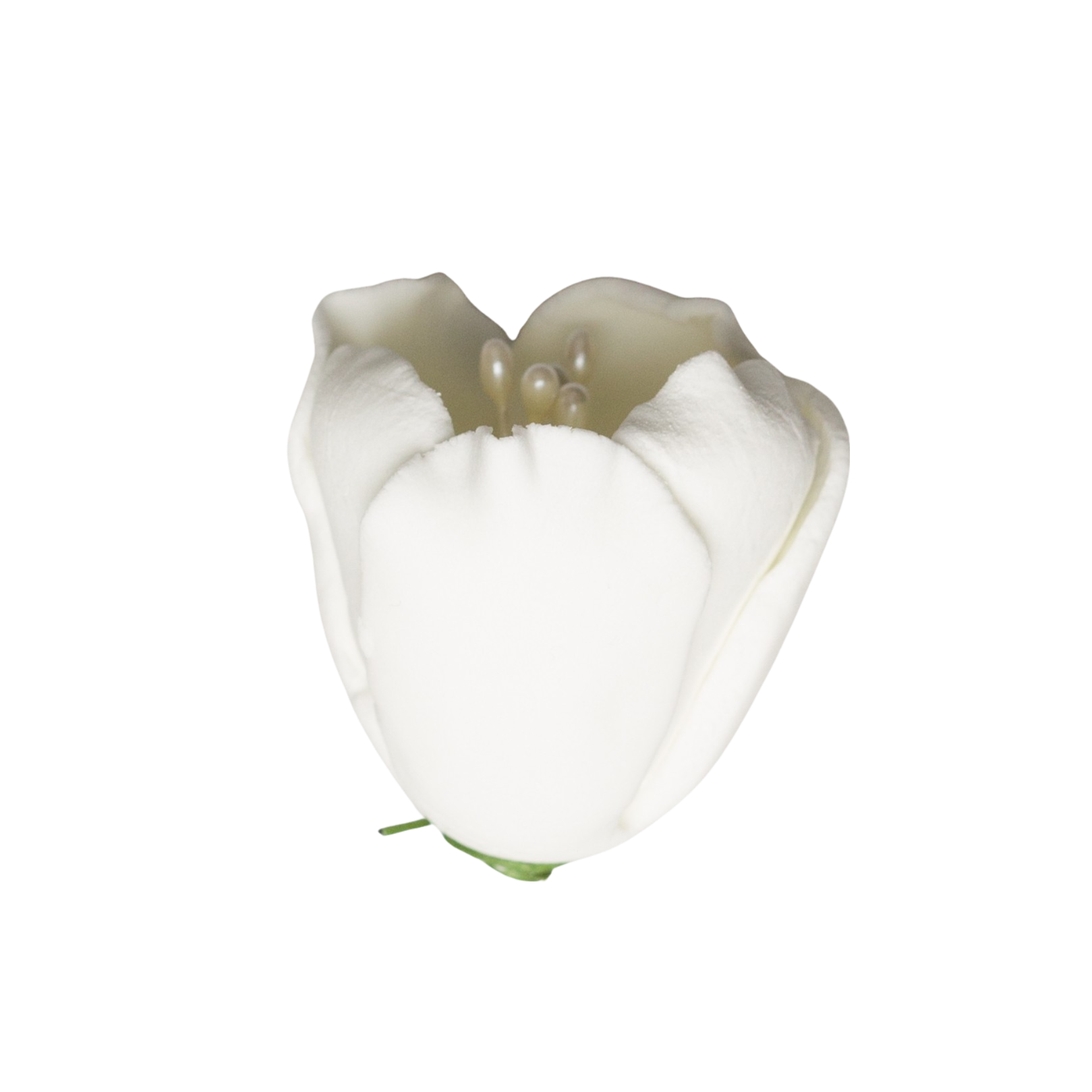 176WH- 1' Tulip - White