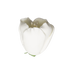 176WH- 1' Tulip - White