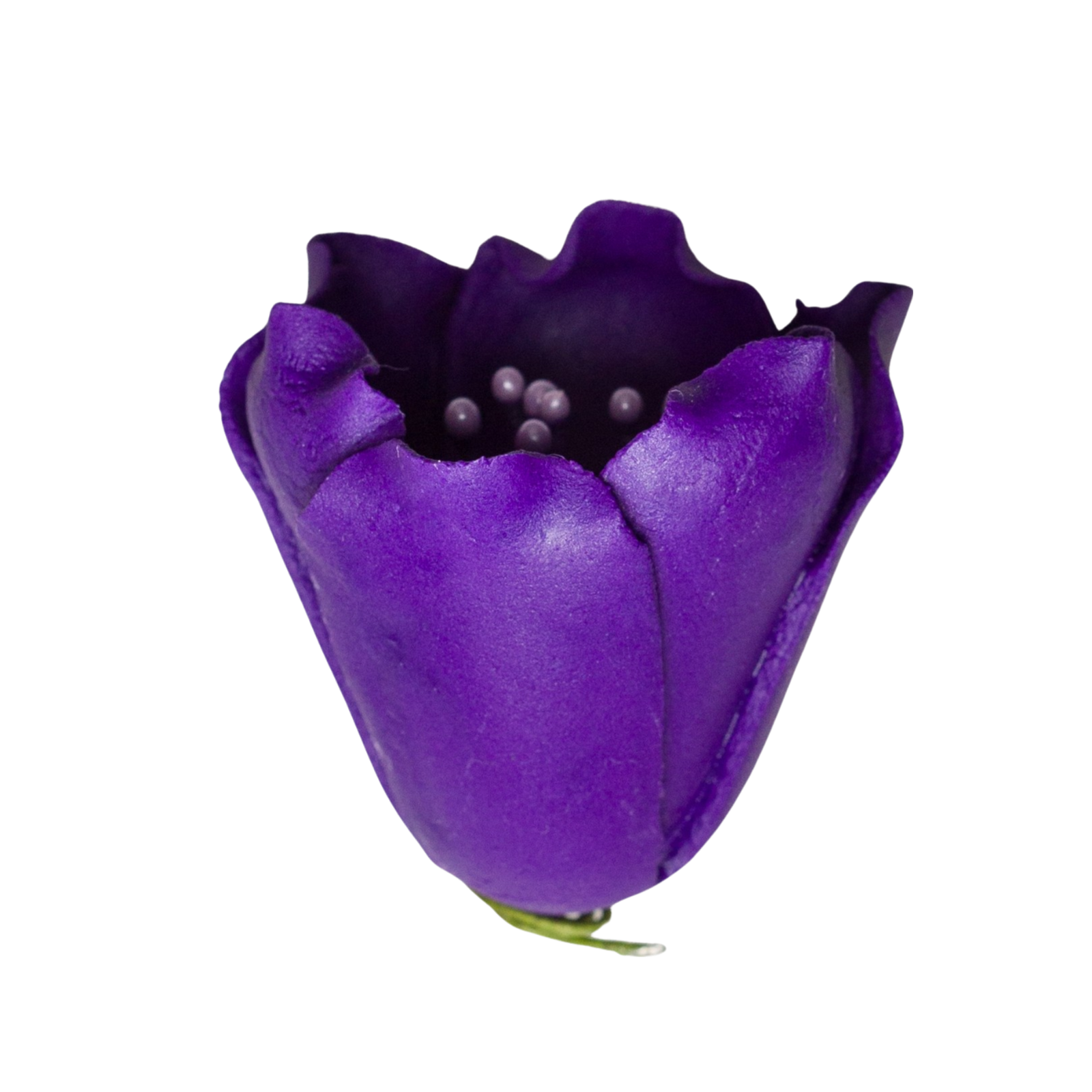 175PU- 1.5' Tulip - Purple