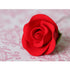 1" Small Tea Rose #149