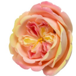 Apricot Nectar Rose Flower Large #52LG or Small #52MD