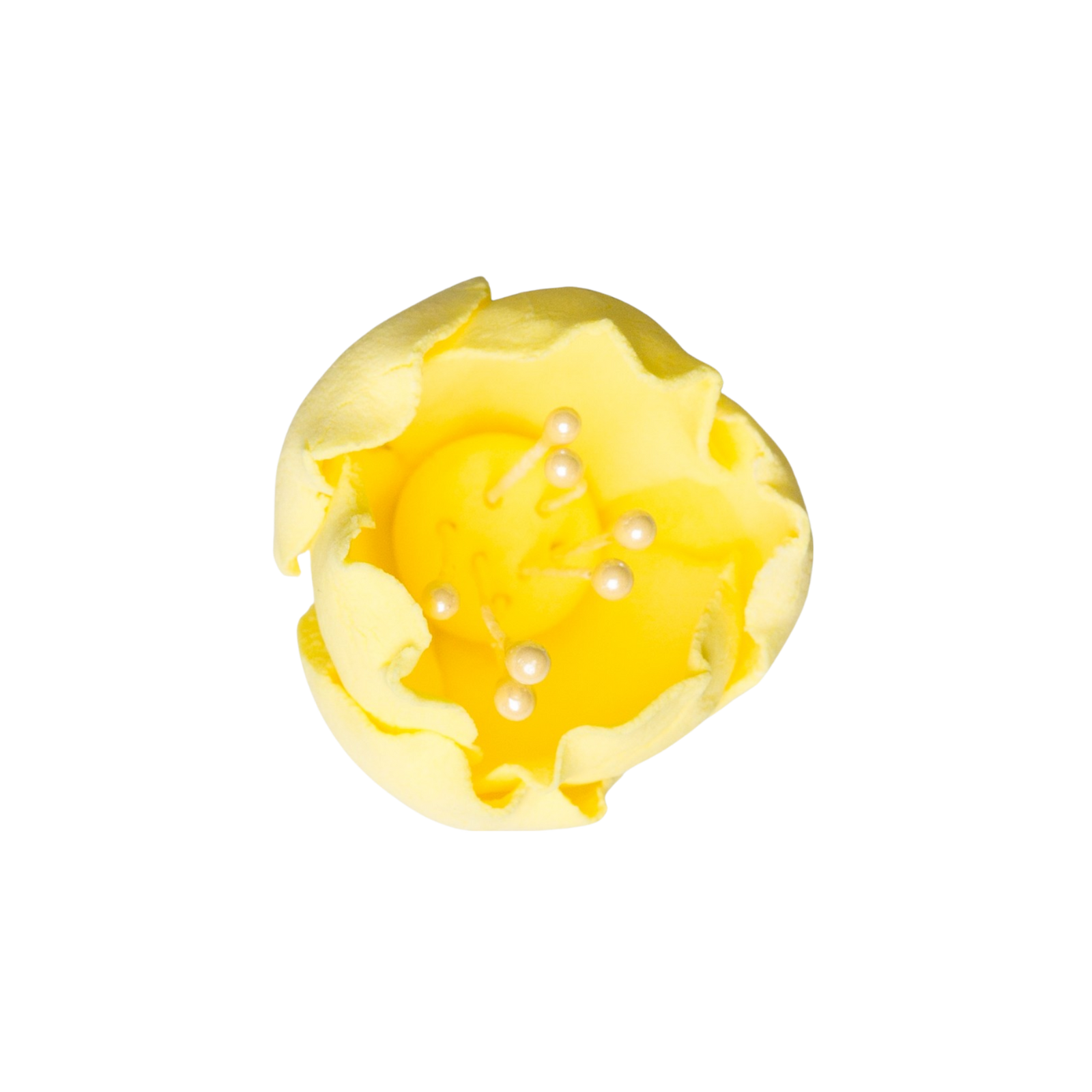 175YL- 1' Tulip -Lemon Yellow