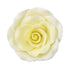 Rosa de pasta de goma XL 2.5 #146