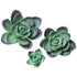 161- Purple Succulents 3Pc