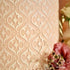 Cake Decorating Stencil SAHI