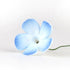 Periwinkle Flowers #74