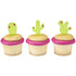 Cactus Assortment DecoPics