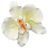 206- Orchid 1'