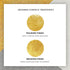 Satin Ice Gold Shimmer Fondant — 4oz, 2lb, 5lb Satin Ice Fondant - Bake Supply Plus