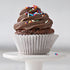 CK Chocolate Buttercream Icing 13oz CK Products Icing - Bake Supply Plus