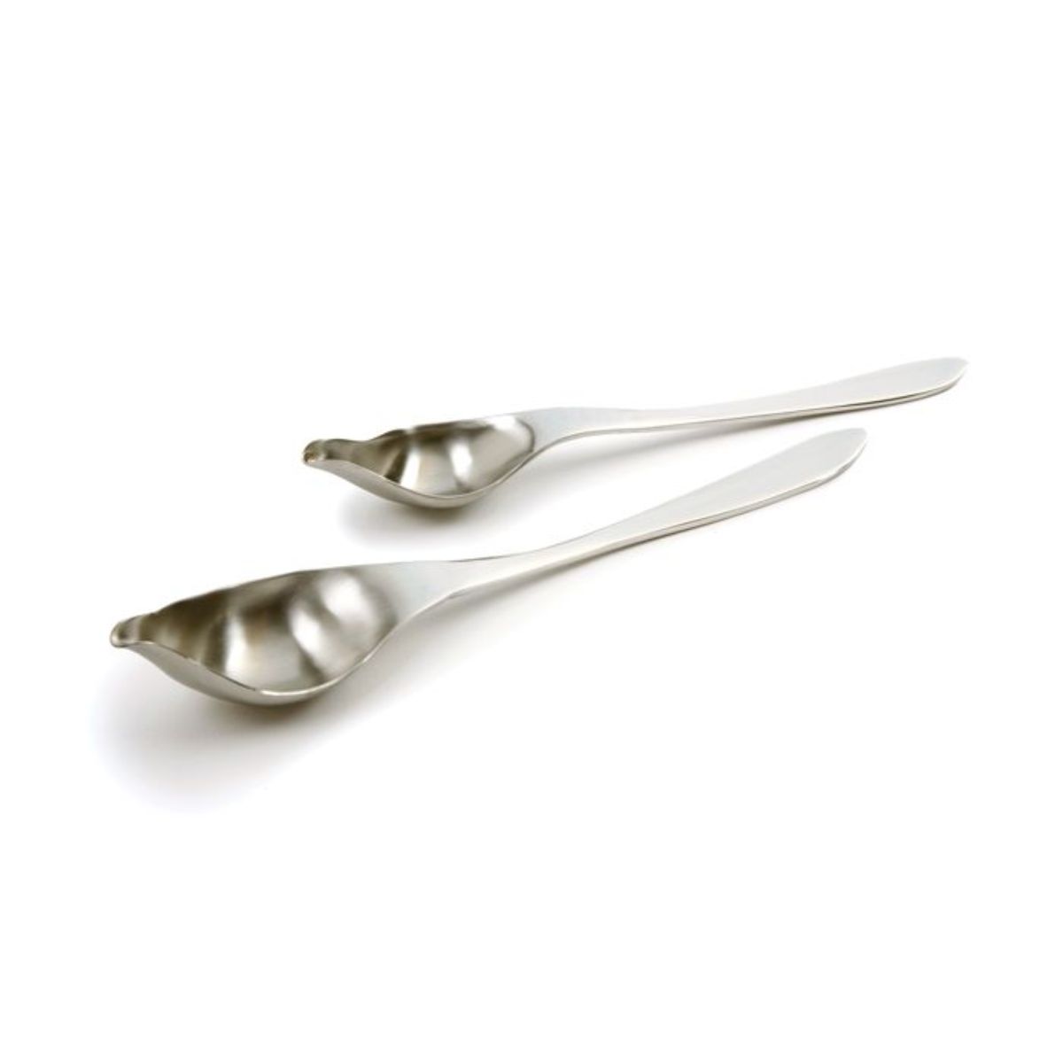 Norpro Stainless Steel Drizzle Spoons Set of 2