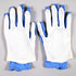 Isomalt Protective Gloves 2pc Lrg