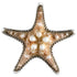 Starfish Mold - Bake Supply Plus